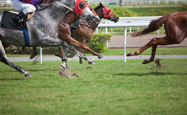 Horse race "Horse racing, focus on horse in background, Canon 1Ds mark III" equestrian event photos stock pictures, royalty-free photos & images