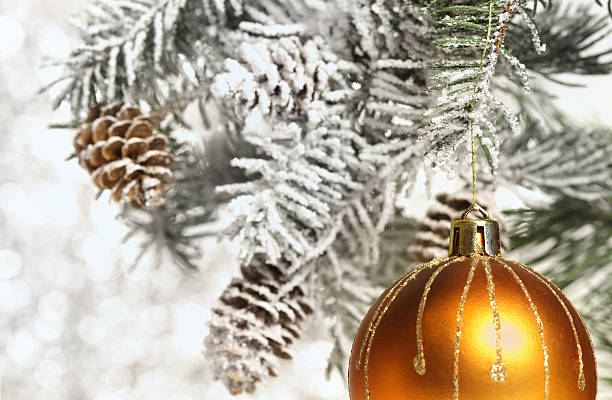 istock Snowy Christmas Decoration 184933880