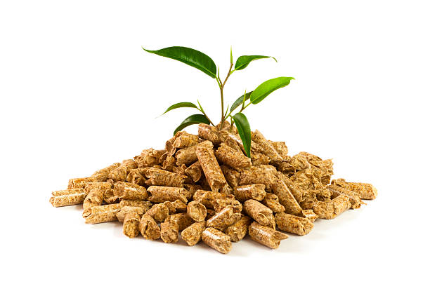 Wood pellets "Wood pellets are a type of wood fuel, generally made from compacted sawdust." pellet gun stock pictures, royalty-free photos & images