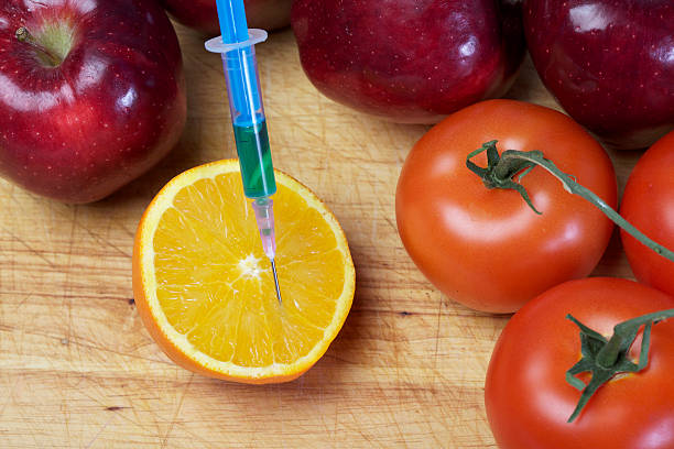 administración de alimentos y medicamentos - genetic modification dna tomato genetic research fotografías e imágenes de stock