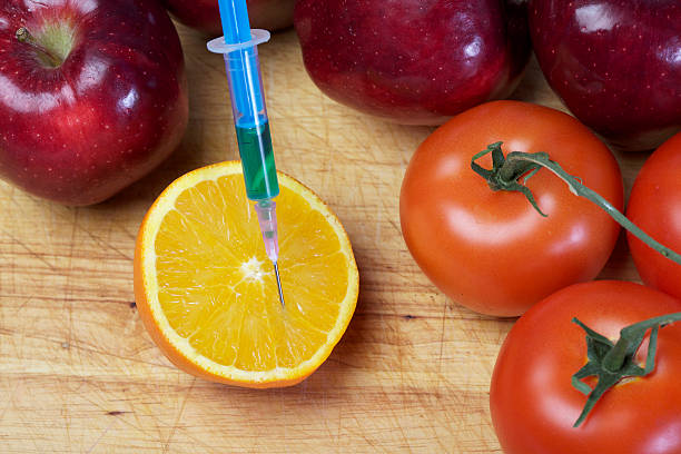 식품 및 약물 - genetic modification dna tomato genetic research 뉴스 사진 이미지