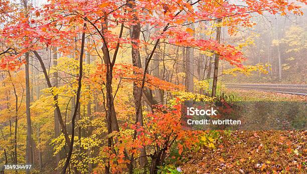 Smoky Mountains Autumn Panorama Stock Photo - Download Image Now - Appalachia, Autumn, Autumn Leaf Color