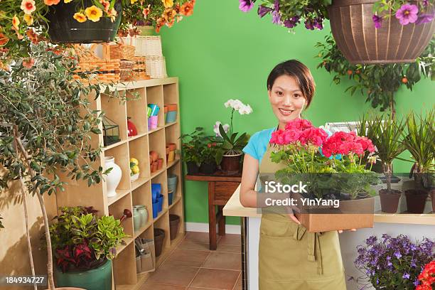 Joven Mujer Asiática Comercial De Propietario Del Centro De Jardinería Hz Foto de stock y más banco de imágenes de Geranio