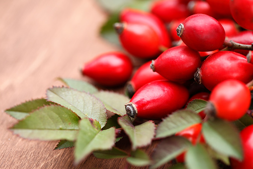 Group of red Rose Hips with Leaves