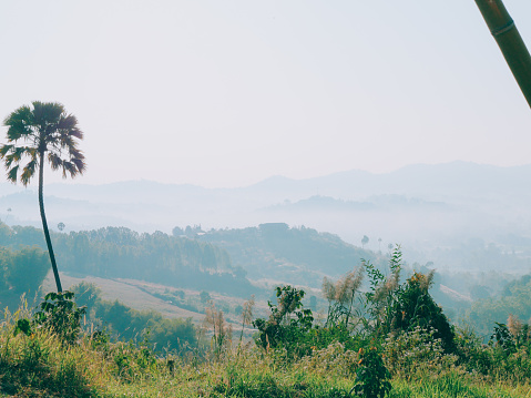 Morning in the mountains