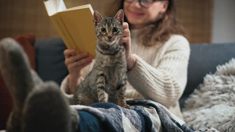 A young Caucasian woman reading a book with her cute grey cat