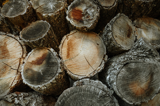 Firewood logs texture