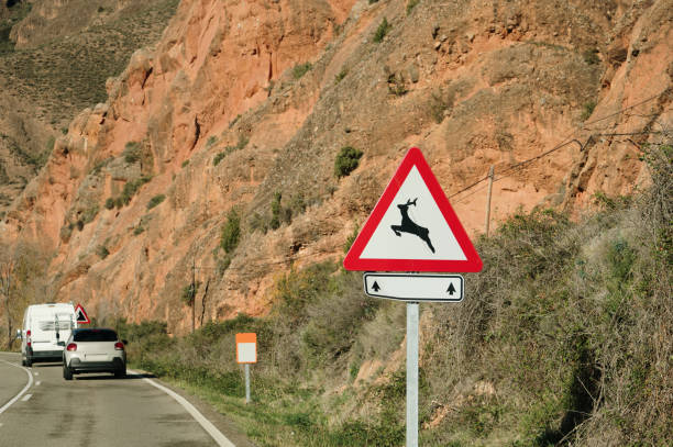 istock Wild animals on the road sign 1849353912