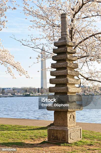 Pagode Japonês No Tidal Basin Em Washington Dc - Fotografias de stock e mais imagens de Pagode - Pagode, Washington DC, Alto - Descrição Física