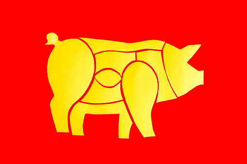 Bright yellow scheme of a pig carcass close-up on a red background