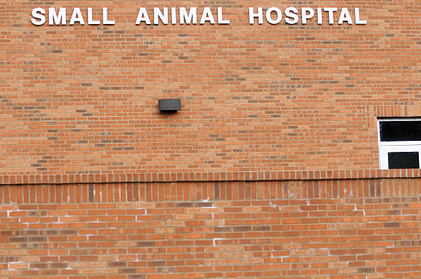 istock Small Animal Hospital Sign 184936022