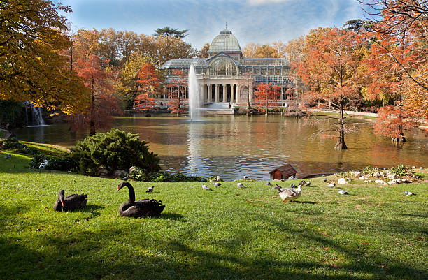 crystal palace en retiro park, madrid - palacio espanol fotografías e imágenes de stock