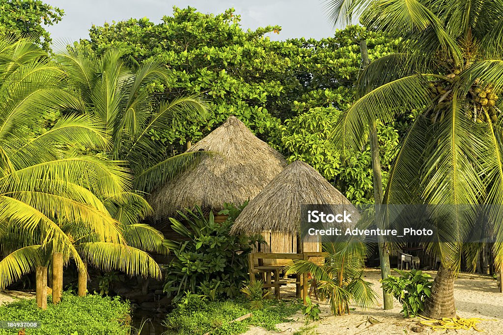 Refugio en la selva Tropical de paja - Foto de stock de Honduras libre de derechos