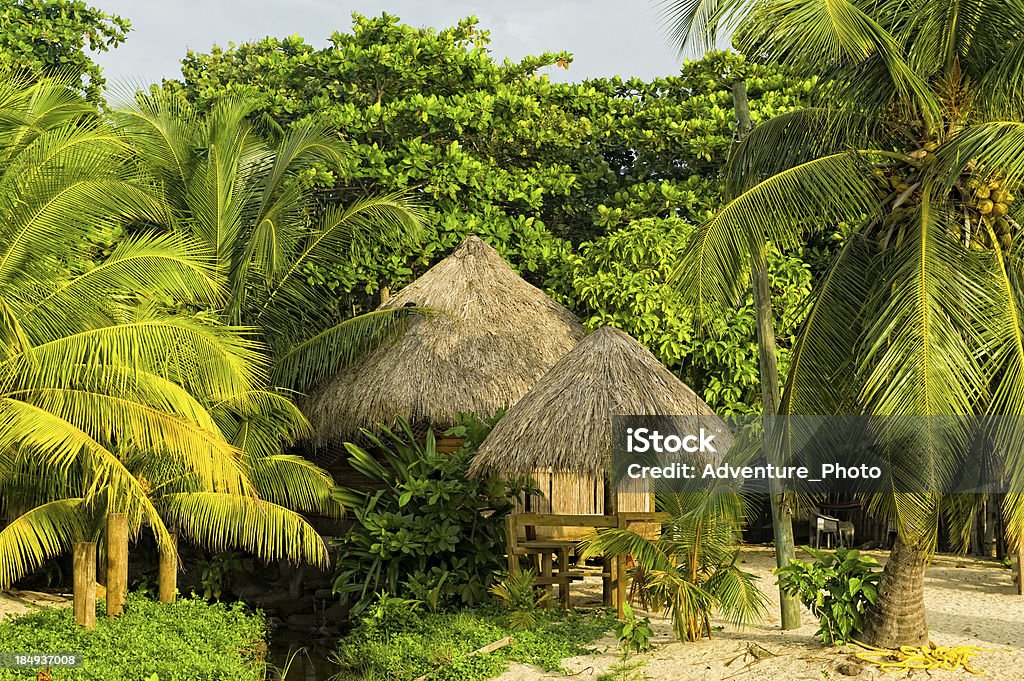 Tropikalny chatki schronienie w dżungli - Zbiór zdjęć royalty-free (Honduras)