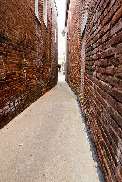 istock Narrow Brick Walled Walkway in Annapolis 184937309