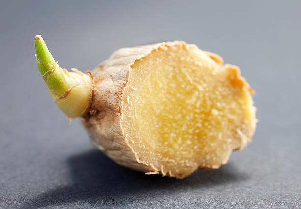 piece of ginger sprouting stock photo