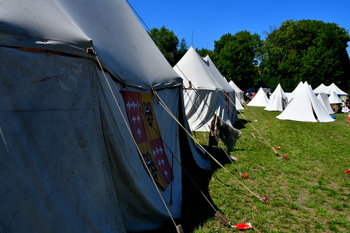 A close up on a set of tents decorated with crests of medieval families and noble houses spotted in the middle of a field, meadow, or pastureland and a forest attached with rope to the ground