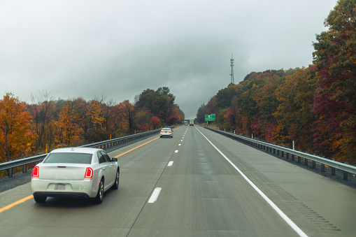 road in autumn