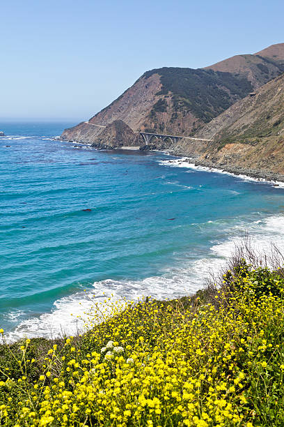 istock Big_Creek Bridge, Big Sur, California (vertical) 184937987