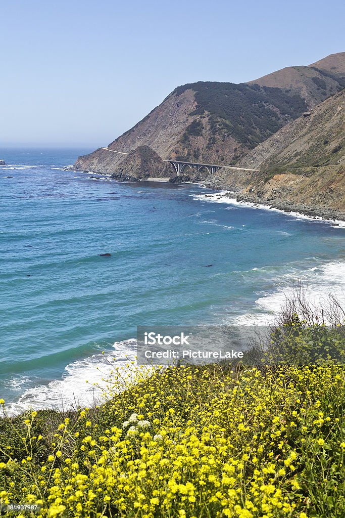 Big_Creek Bridge, Big Sur, California (vertical) Highway 1 winding around the  central California Big Sur coastline, with the distinctively shaped double-arched span of Big Creek Bridge in Spring. Beauty In Nature Stock Photo