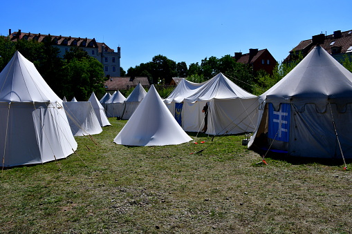 A close up on a set of tents decorated with crests of medieval families and noble houses spotted in the middle of a field, meadow, or pastureland and a forest attached with rope to the ground