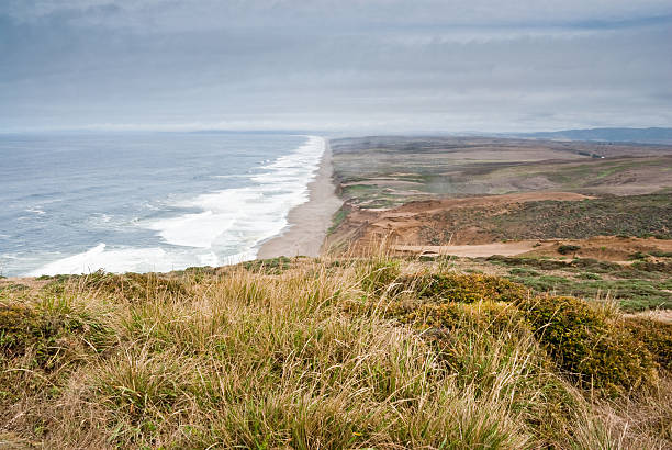 Grassy Meadow Above the Pacific The colorful cliffs of Point Reyes jut into the Pacific Ocean above Drake's Bay. This scene was photographed at Point Reyes National Seashore, 40 miles north of San Francisco, California, USA. jeff goulden pacific ocean stock pictures, royalty-free photos & images