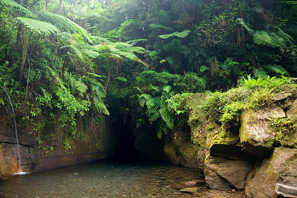istock Titou gorge on Dominica 184939173