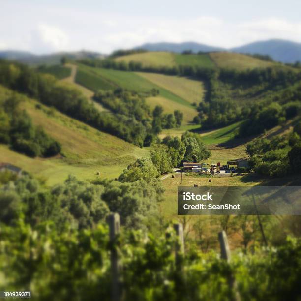 Foto de Farm Em Um Vale e mais fotos de stock de Agricultura - Agricultura, Ajardinado, Beleza natural - Natureza