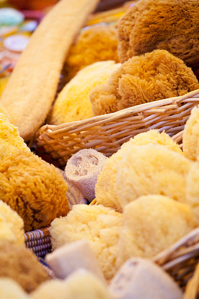 Natural Sponges & Loofahs "Natural sponges and loofahs in baskets, for sale at a Mediterranean market in the Balearic Islands." sponge bath sponge nature animal stock pictures, royalty-free photos & images