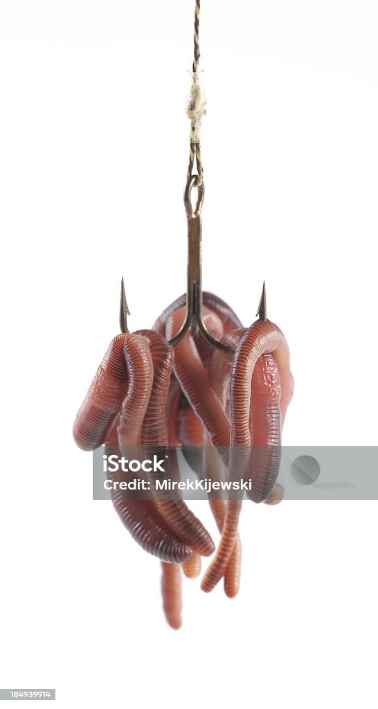 Pesca, rosso WORM su ganci - Foto stock royalty-free di Amo da pesca