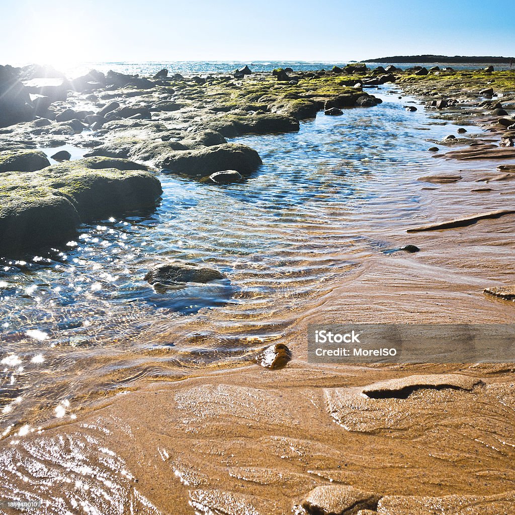 Shoreline la playa - Foto de stock de Agua libre de derechos