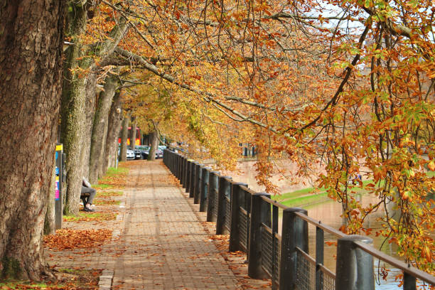 istock Strasbourg in Autumn 1849403534