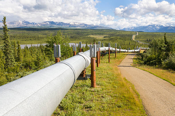 Industrial pipelines on pipe-bridge against blue sky
