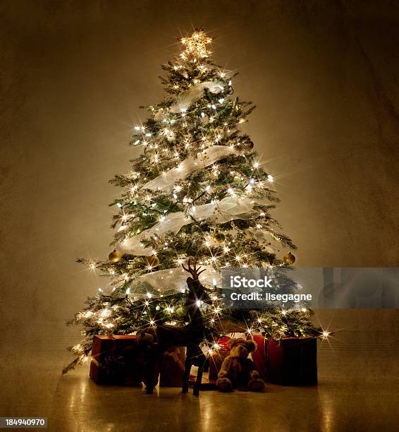 Photo libre de droit de Arbre De Noël Illuminé De Nuit banque d'images et plus d'images libres de droit de Sapin de Noël - Sapin de Noël, Illumination, Noël