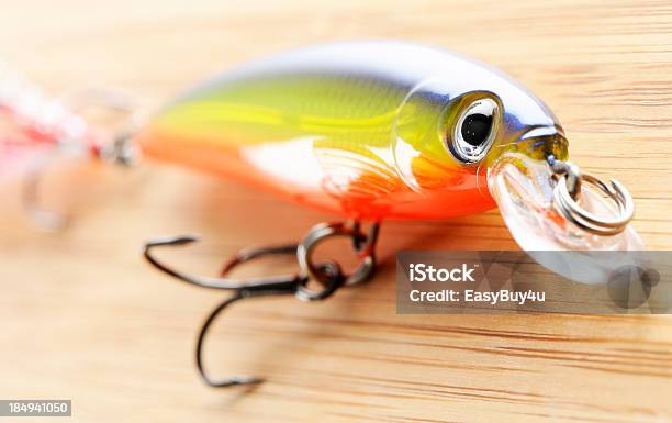 Fishing Bait Stock Photo - Download Image Now - Catch of Fish, Close-up, Fish