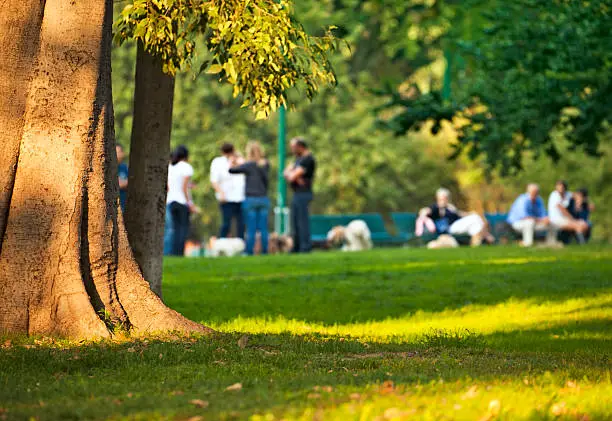 Photo of Group of people relaxing among trees in city park.