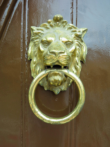 Wooden head of lion on front door