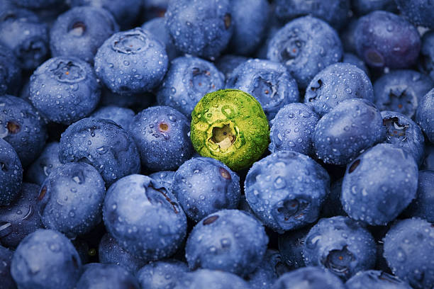 unique de berry - blueberry picking freshness berry photos et images de collection