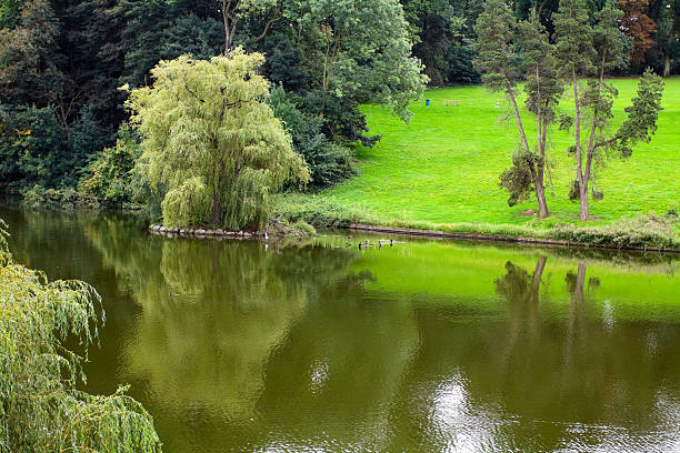 Park Woluwe in Brussels with mere. Park is located in east of Brussels between Jubelpark and Tervuren.