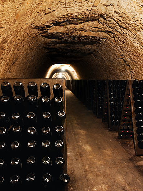 bouteilles de vin dans une cave à vins - aging process french culture winemaking next to photos et images de collection