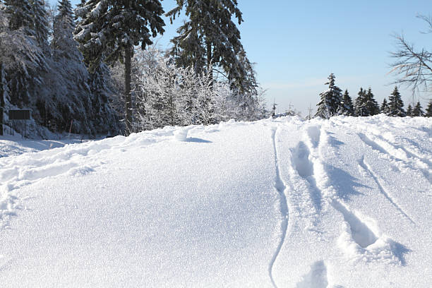 istock winter landscape with snow background 184942487