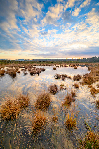 Lake on the Renderklippen moor during a winter sunset at the Veluwe nature reserve in Gelderland, The Netherlands.