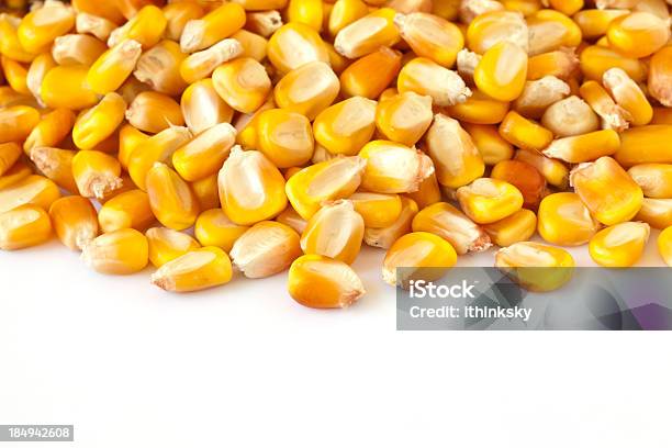 Corn Stock Photo - Download Image Now - Cereal Plant, Close-up, Color Image