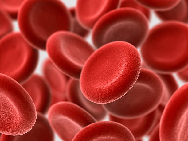 Red Blood Cells Biological background. 3D render. red blood cell stock pictures, royalty-free photos & images