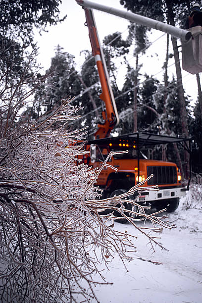 a power company truck clears out downed power lines and iced trees after a winter storm in Minnesota