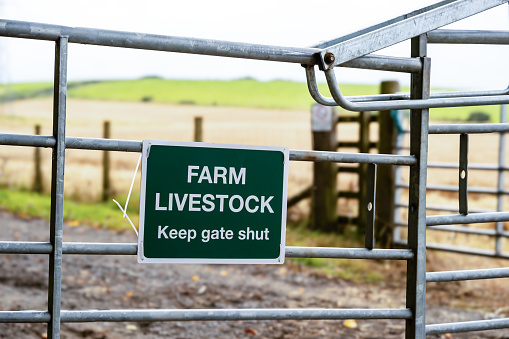 Farmers metal gate with a keep gate shut sign attached, displaying Farm Livestock, with farm land and fields in the background.