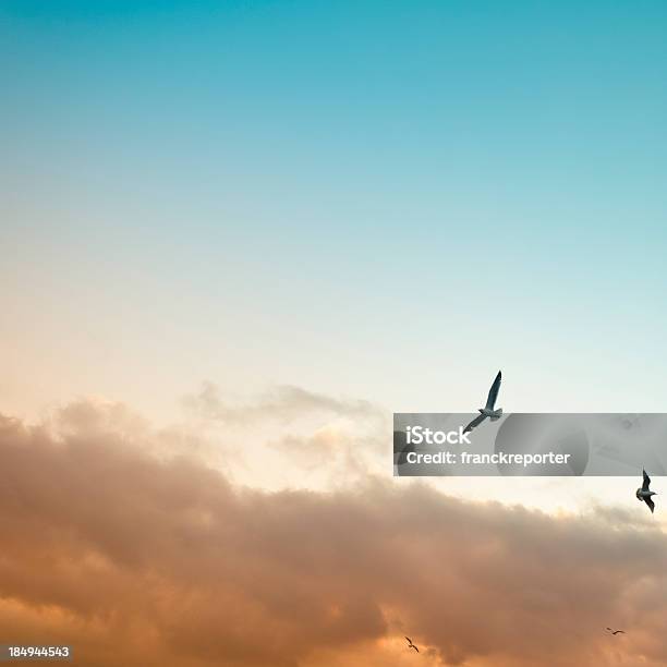Between The Dead And Life Evil E Good Stock Photo - Download Image Now - Bird, Sky, Cloud - Sky