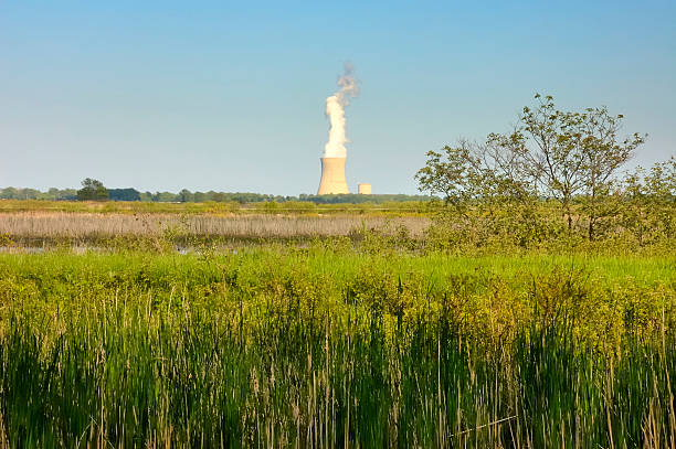 The Davis-Besse Nuclear Power Station with its cooling tower and single reactor building on the horizon over the wetland in northern Ohio, Two forms of nature.