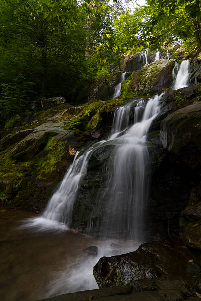 istock Dark hollow falls on Skyline drive, Shenandoah national park 184945649