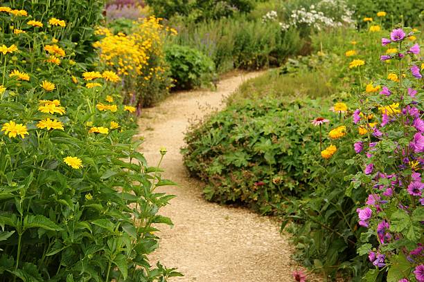 istock Herb and flower garden 184946350